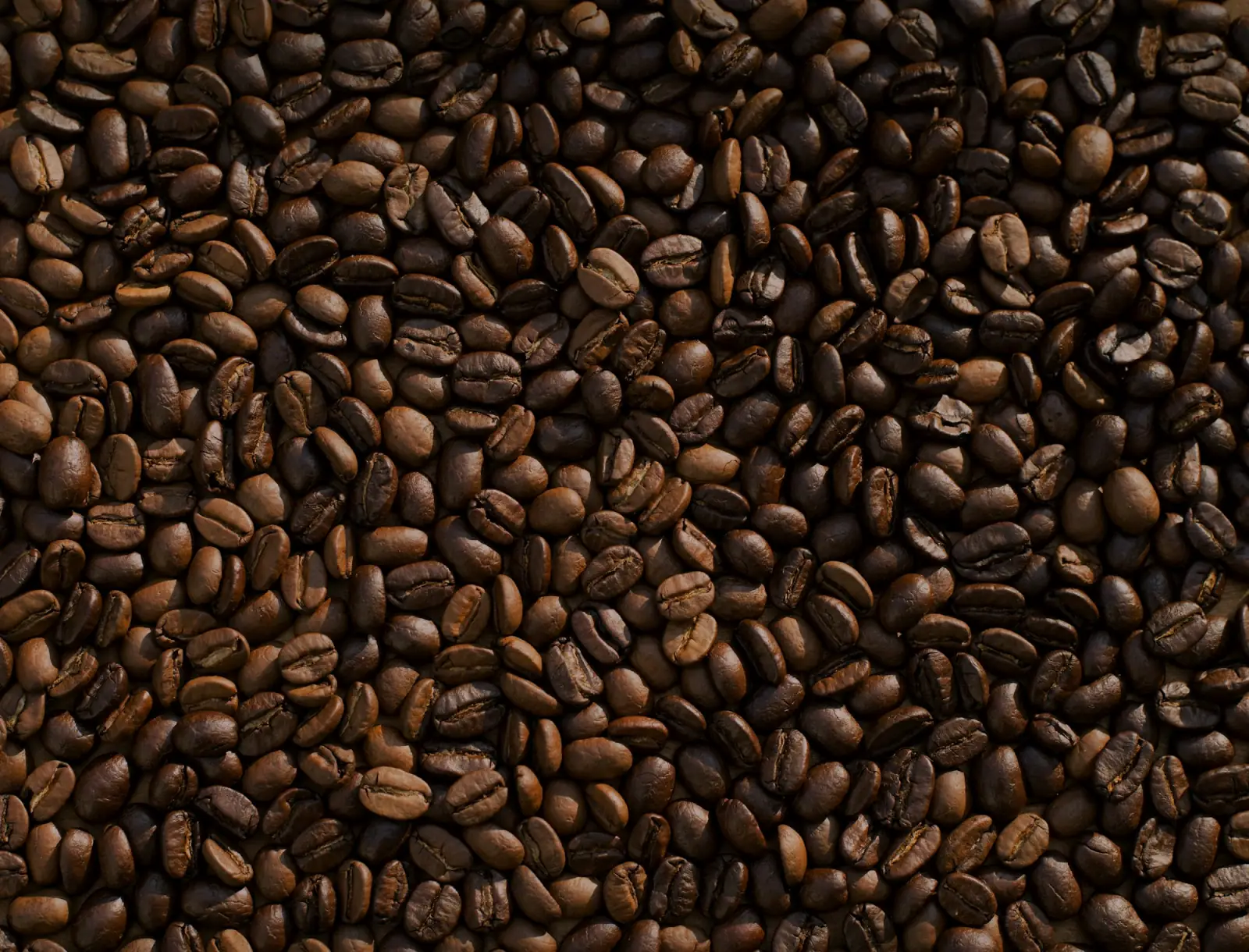 Roasted Arabica coffee beans from the slopes of Kilimanjaro