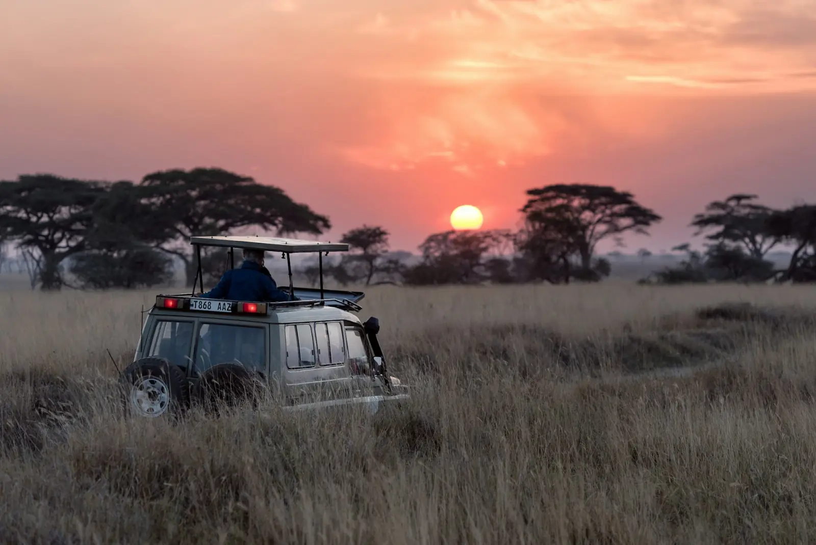 A safari vehicle in long grass at sunset