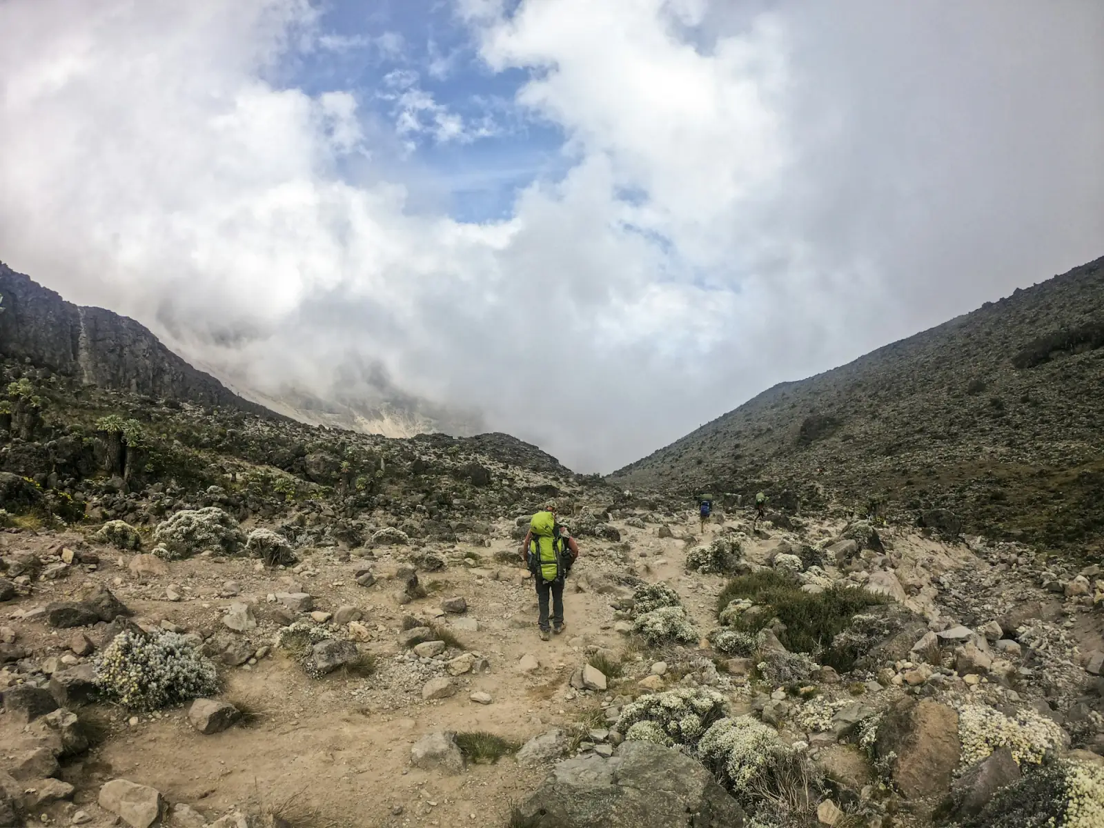 A trekker walking the moorland trail on Mount Kilimanjaro