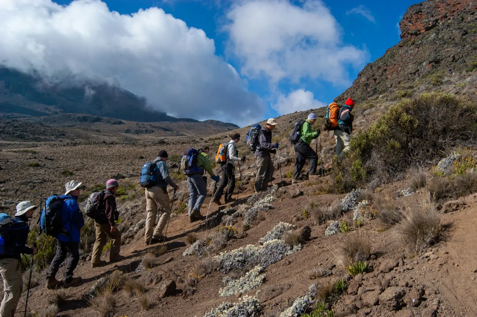 A line of trekkers ascending a ridge on Mount Kilimanjaro