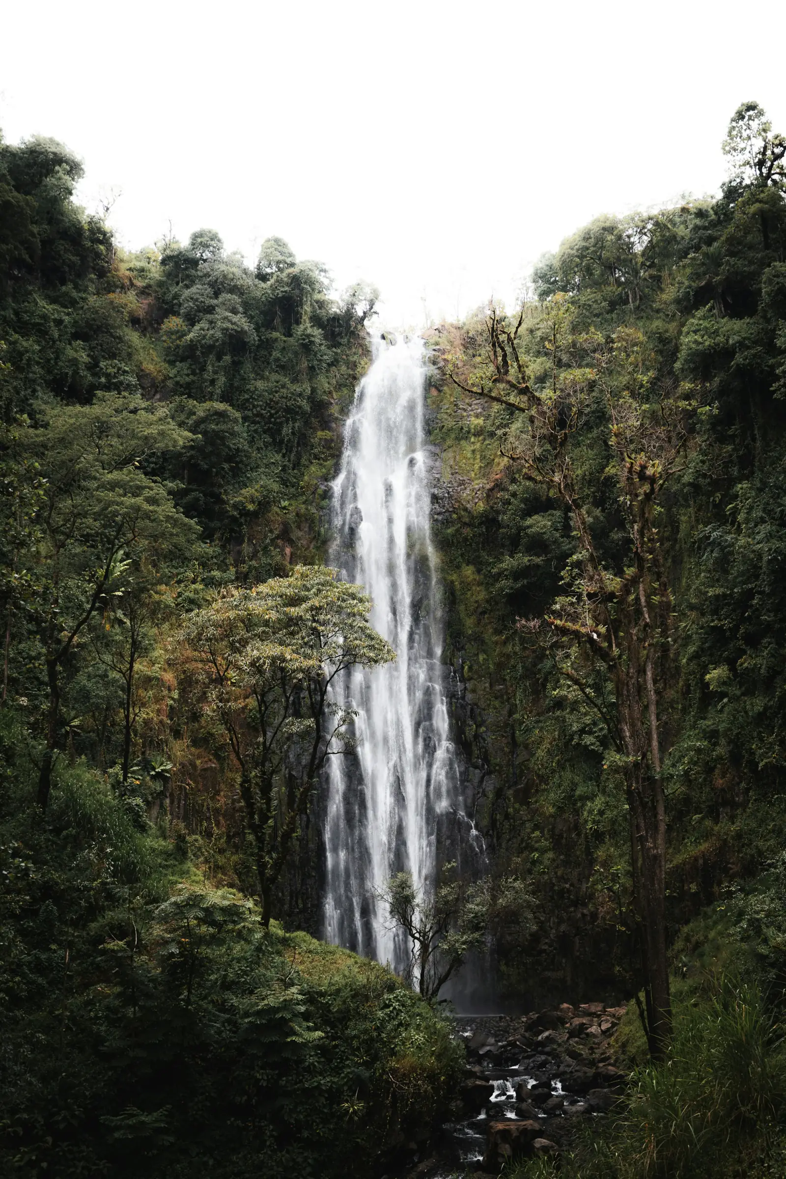 Materuni waterfall falling through green forest