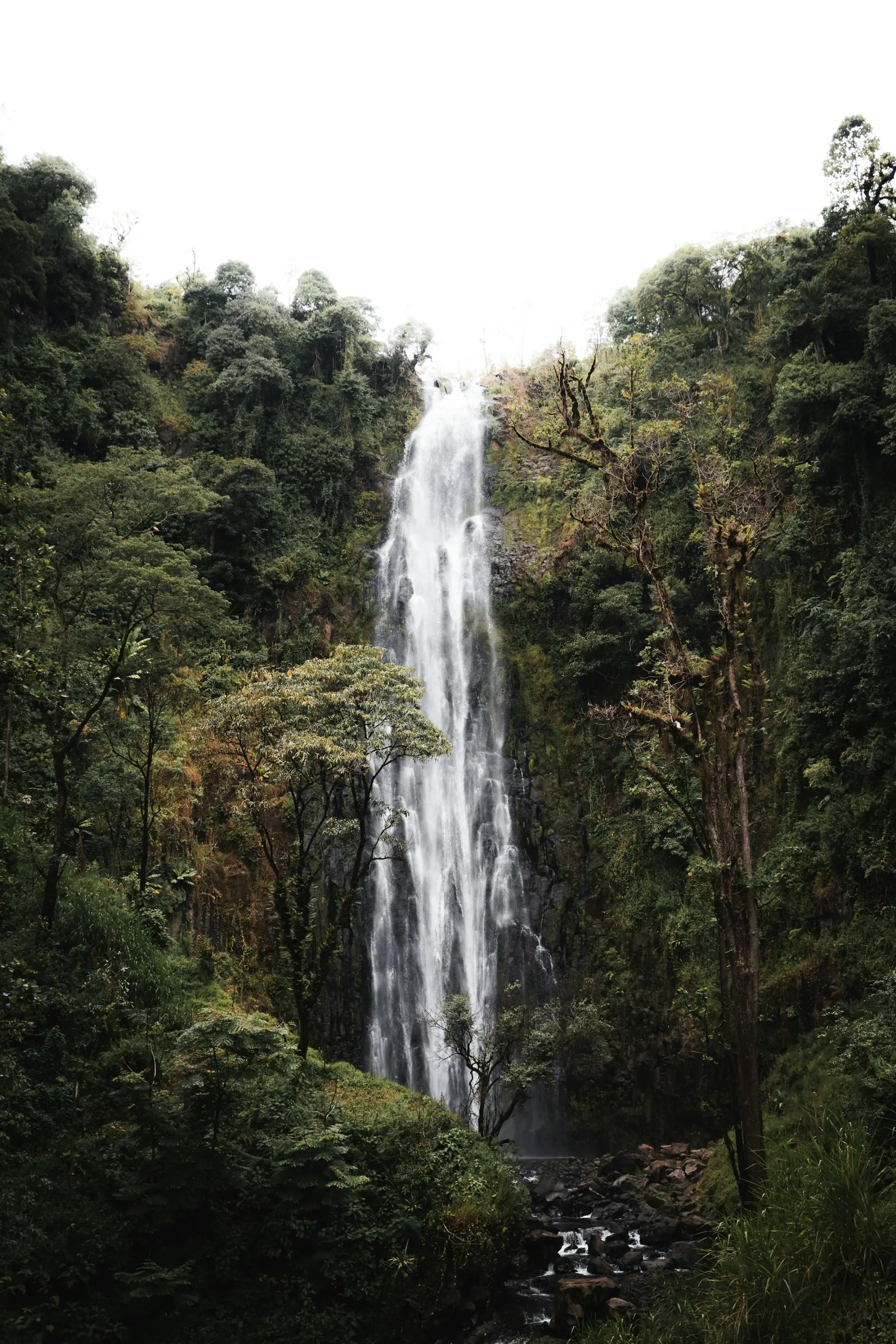 Materuni waterfall falling through dense green forest