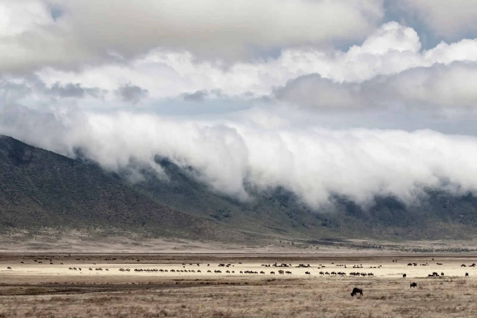 Cloud spilling over the rim of the Ngorongoro Crater
