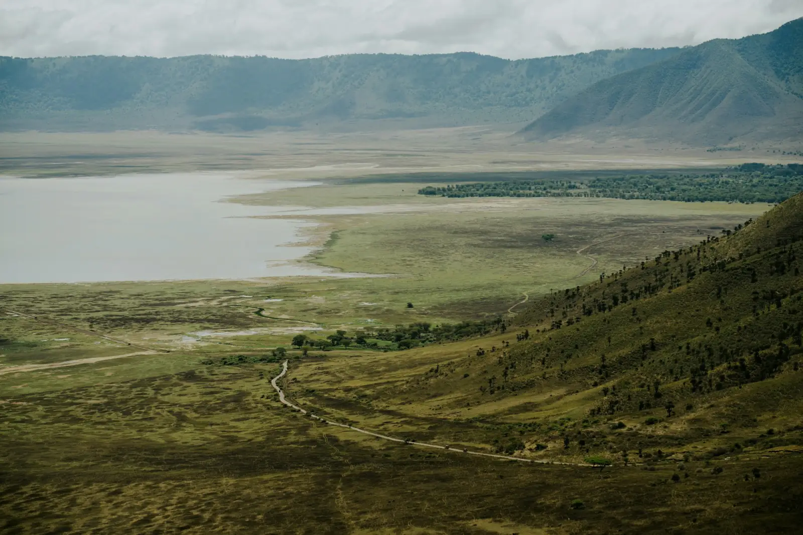 The floor of the Ngorongoro Crater with its soda lake
