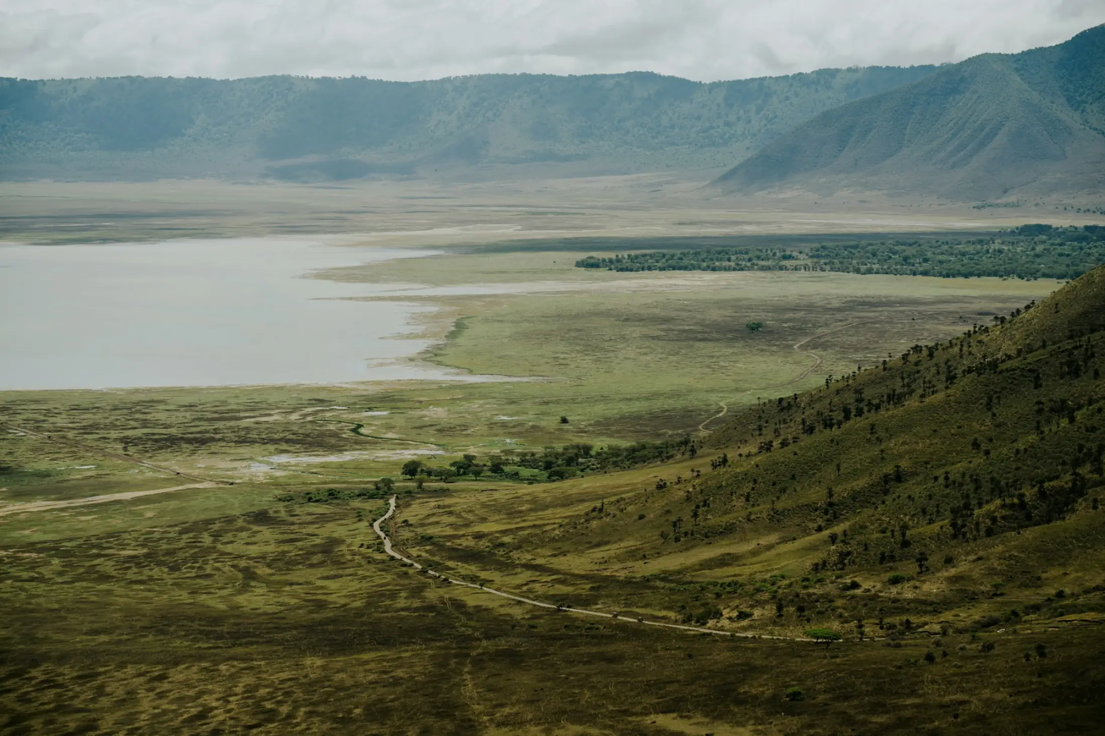 The vast floor of the Ngorongoro Crater seen from the rim