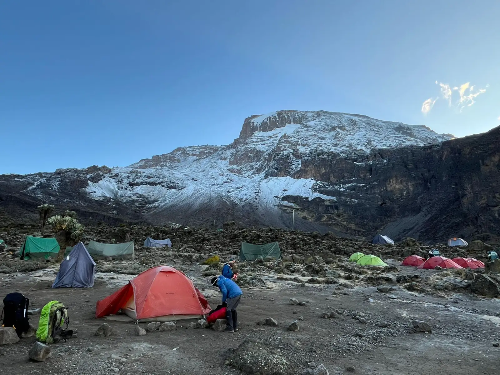 Tents pitched on rocky ground below the snow-covered face of Kibo