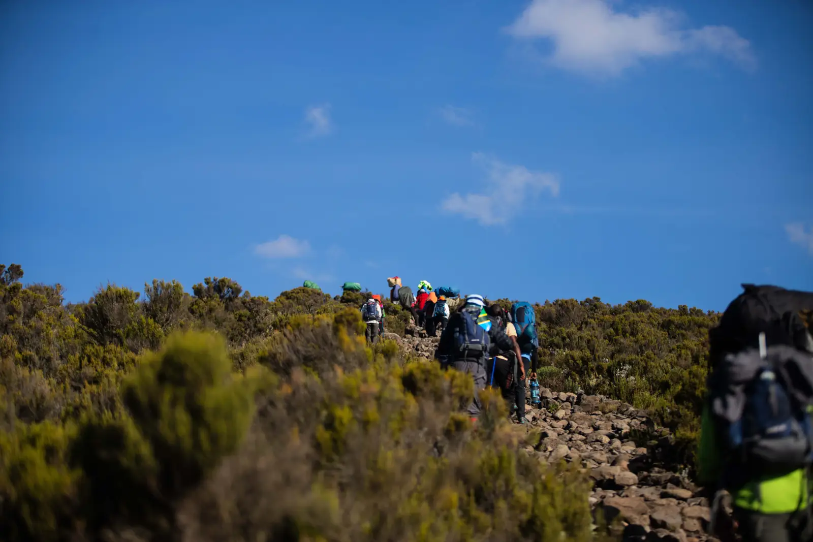 Trekkers and porters climbing a moorland path in bright sun