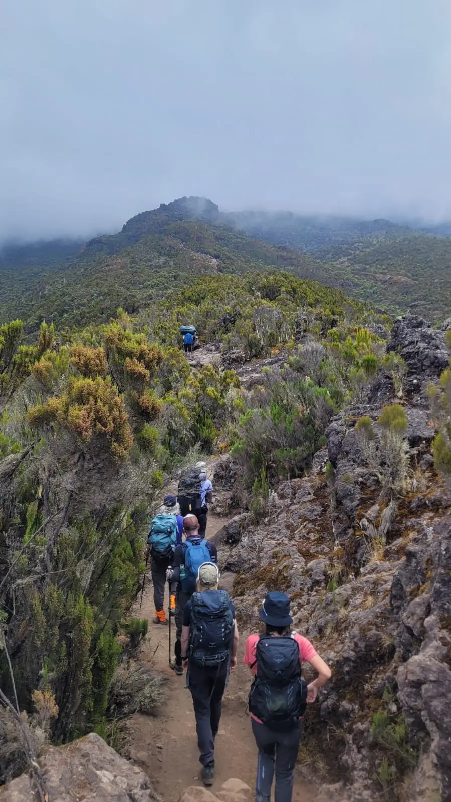 Trekkers following a narrow ridge path through cloud and heather