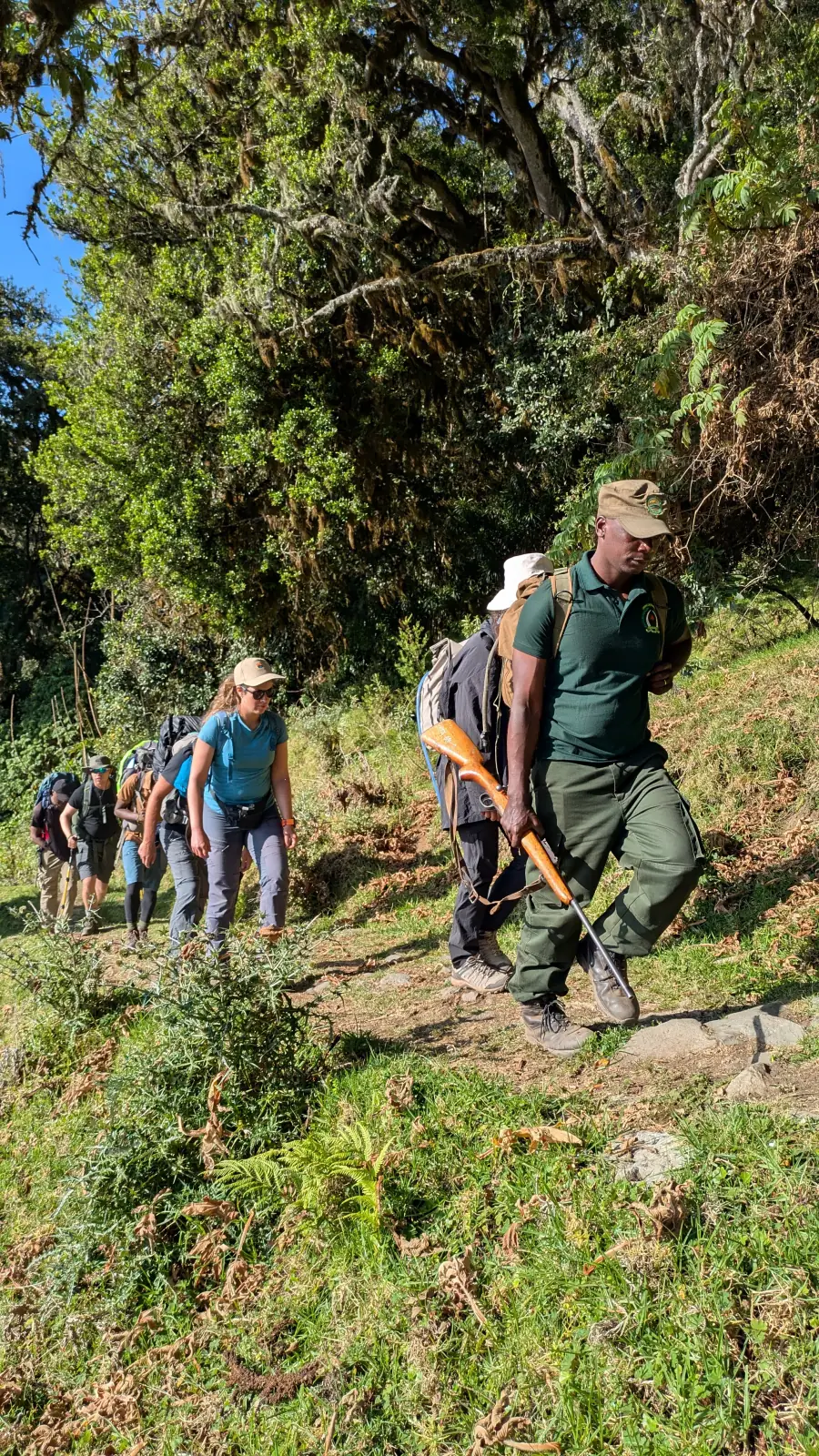 An armed Tanzanian park ranger leading trekkers along a forest path on Mount Meru