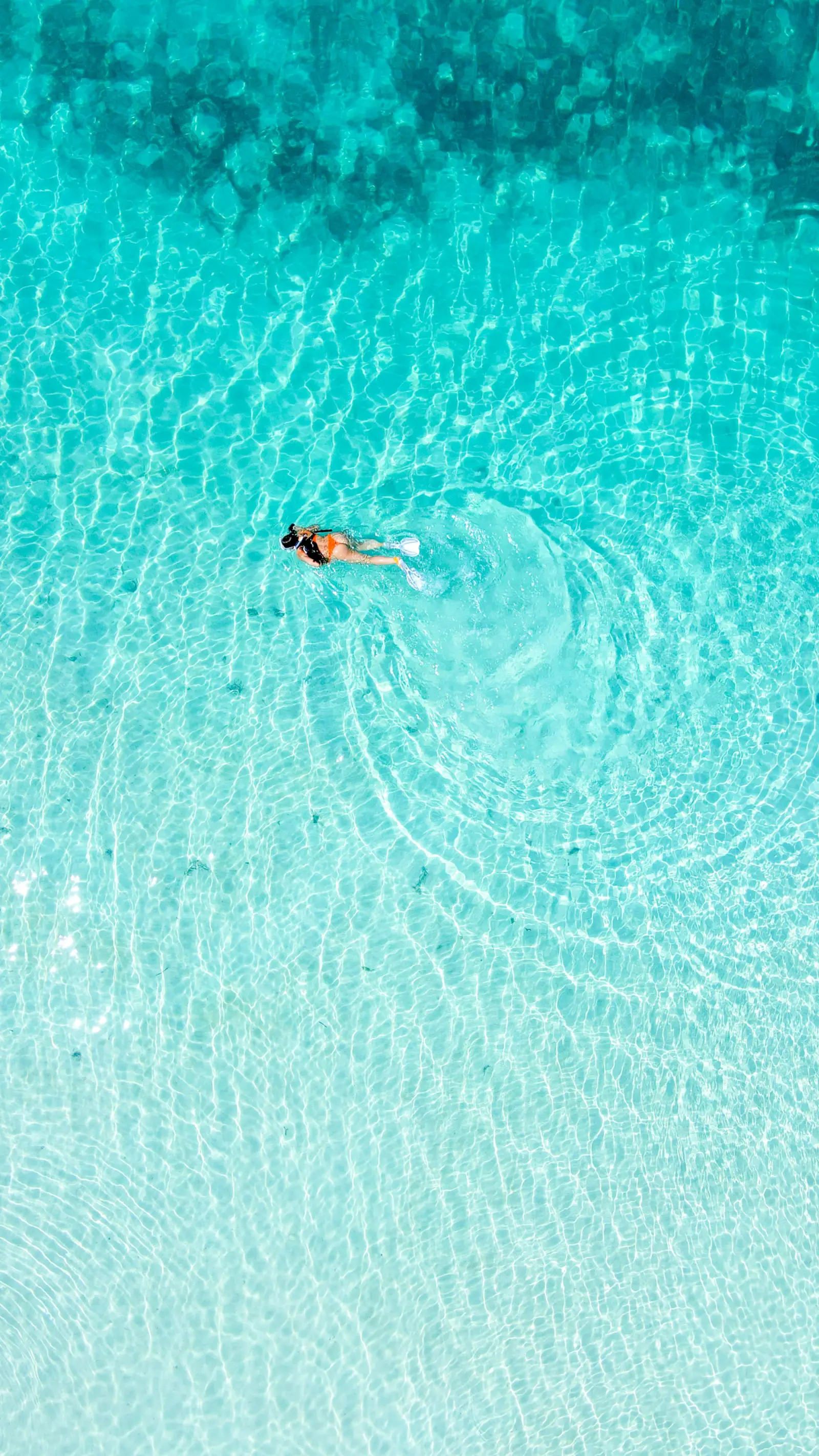 Snorkelling & diving