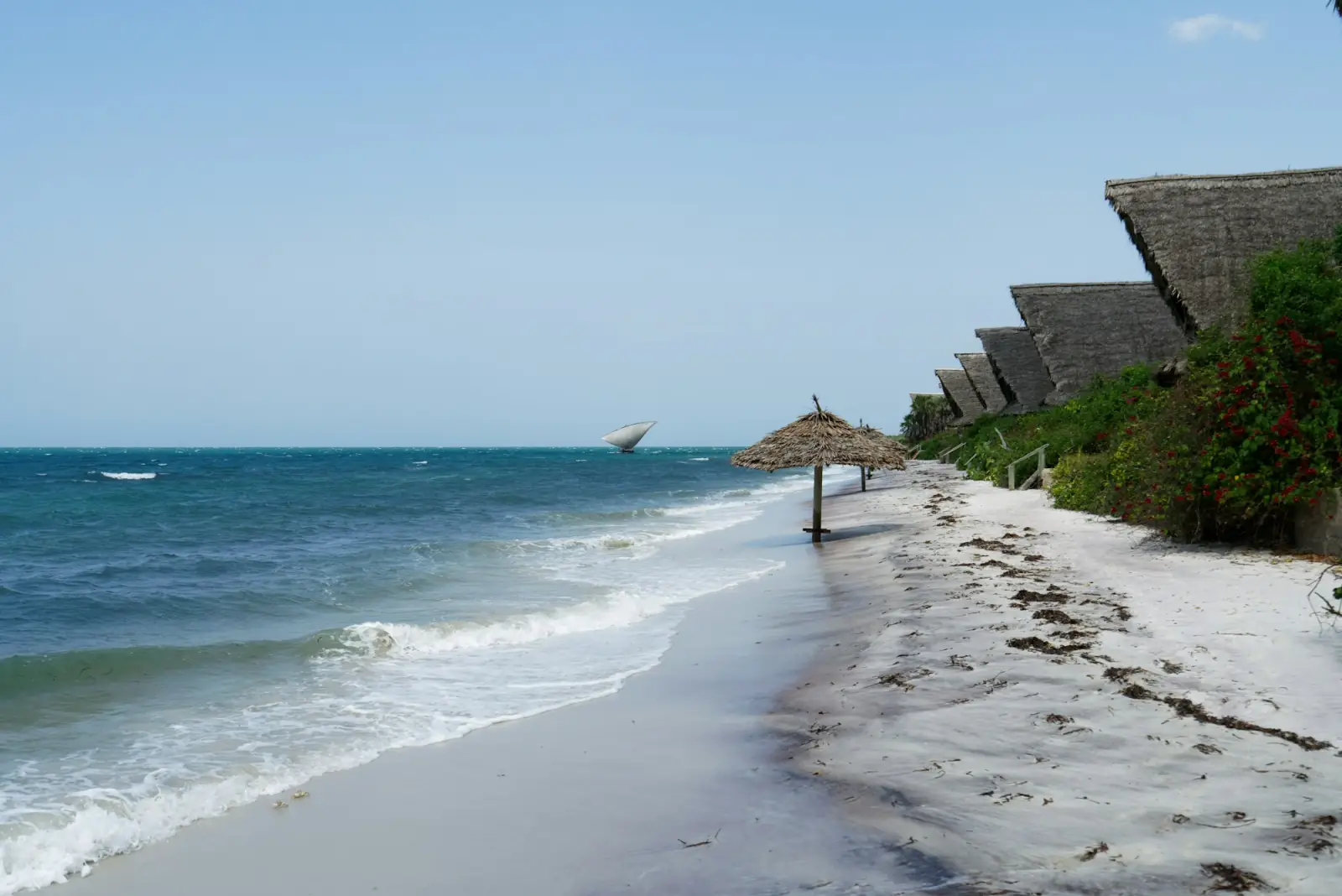 White sand and thatched roofs along the Zanzibar shoreline